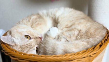 空気階段 水川かたまり on Twitter: 