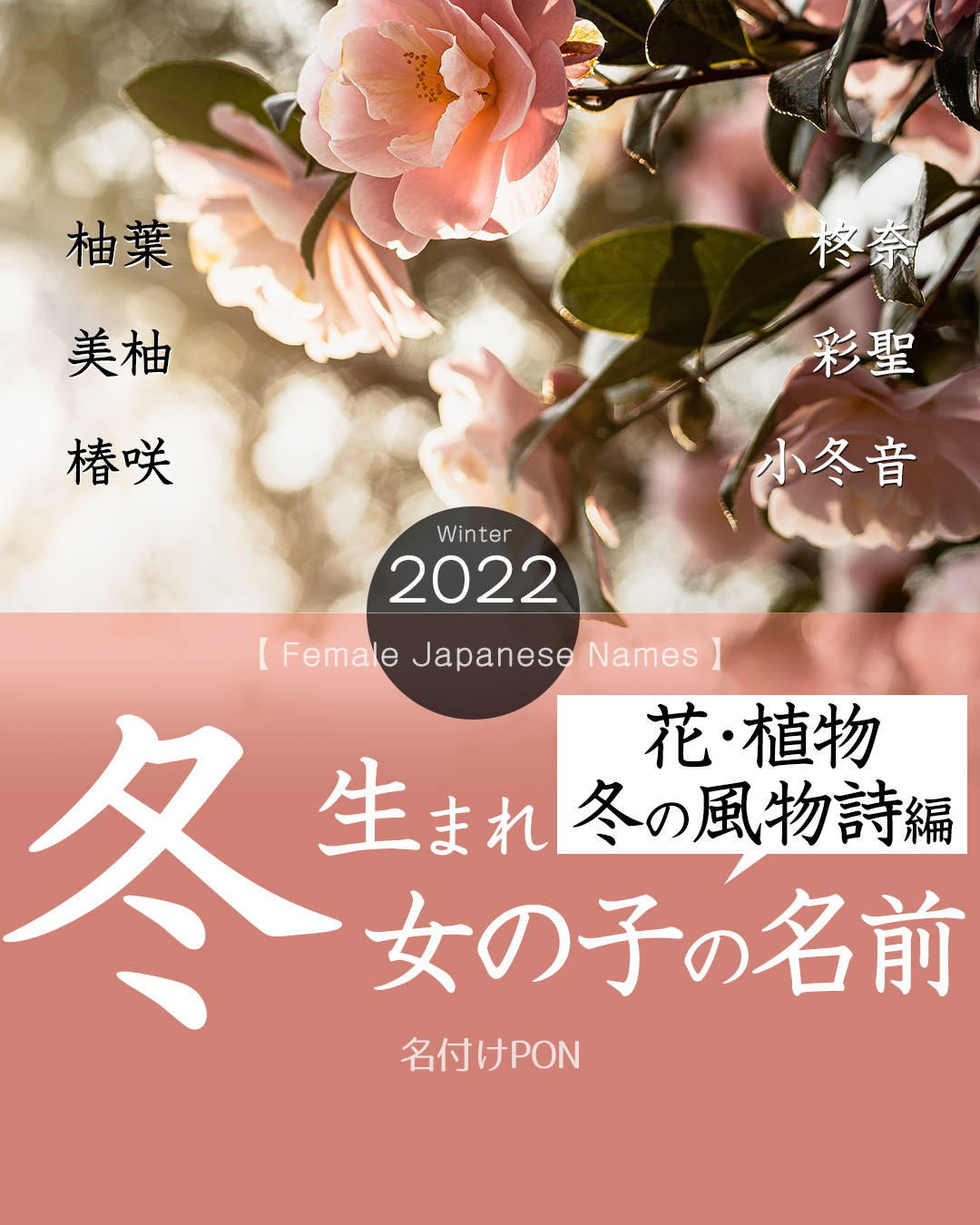 再掲 秋生まれの女の子の名前 2 ~花・植物編~ 蘭、菊、桔梗など秋に咲く花や植物をモチーフにした季節感のある名前です。 ・名付けポン名付け名前名前付け可愛い名前かわいい名前珍しい名前古風な名前漢字命名命名書プレマママタニティ