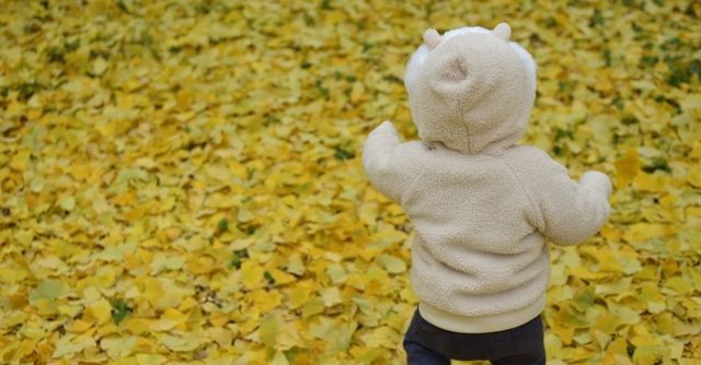 赤ちゃんの後ろ姿ってなんでこんなにかわいいのでしょう🩷今日はハイハイからタッチができるようになり歩くのが楽しくなってくる月齢のお子様が多く来てくださりました☺ ママは追いかけるのに大変な時期ですが その 後ろ姿はホントに愛らしいので、 今のうちにしっかり目