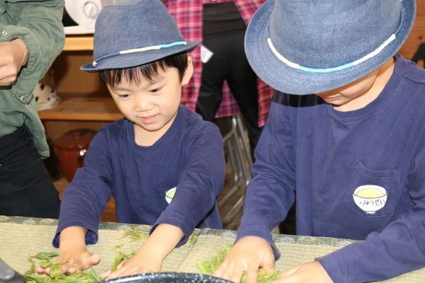 狭山茶の本場でお茶摘み！ 宮野園埼玉・狭山市 には、子どもを夢中にする体験があった - 子どもとお出かけ体験型ガイドアソンデミエータ