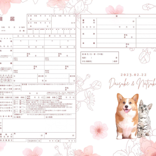 club willbe クラブ・ウィルビー ：新春特別インタビュー 栗原はるみさんのお宅に、遊びに行ってきました