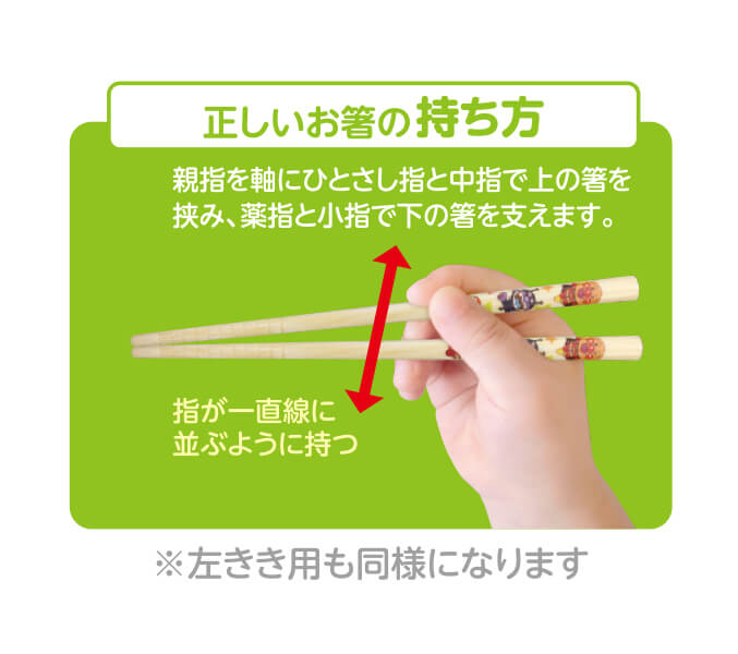 お箸 子供用 通販 おはし おけいこ 持ち方 キッズ 子供 トレーニング 矯正箸 練習 子供用お箸 スケーター キャラクター 右手用 しつけ箸 女の子男の子BACKYARD FAMILY
