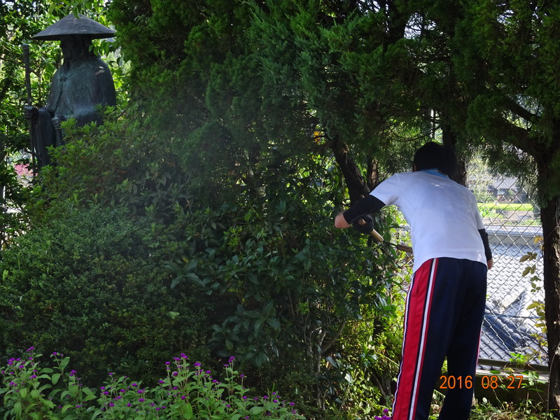 お客さまのお声 - 堺市 植木屋 やまもとグリーン工房