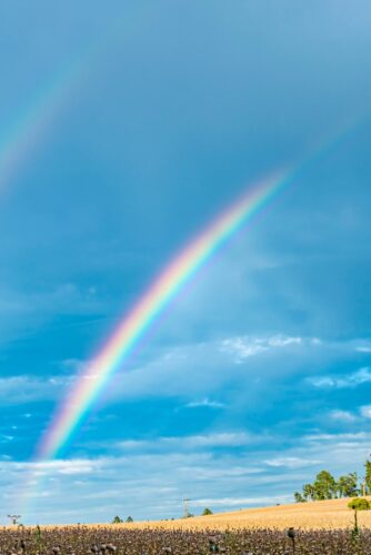 好きな人に熱烈に愛される画像 超強力注意本気で愛される待ち受け2024 │復縁love