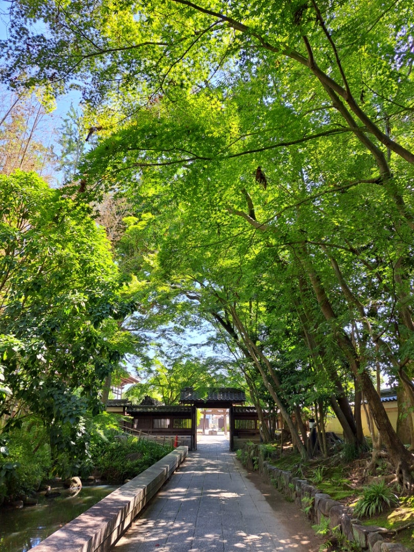 映画『わたしの幸せな結婚』× 三重県