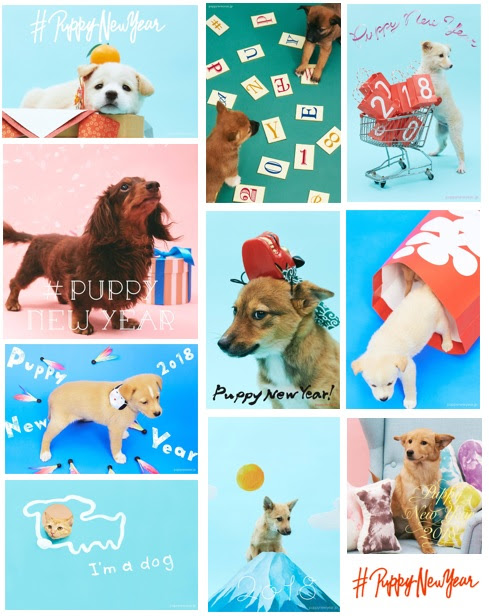 犬年賀状」の写真素材14,390件の無料イラスト画像Adobe Stock