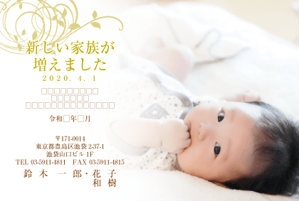 年賀状での出産報告の文例を紹介！2人目のときや写真の有無を解説カメラのキタムラ年賀状2025巳年