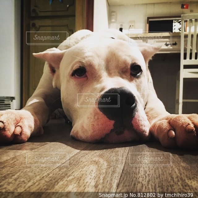 有馬かな、ルビーにハリセンで「何しようとしてんの！」何しようとしてた？千輝 かずきさんの投稿苺プロ広報部推しの子 公式コミュニティ