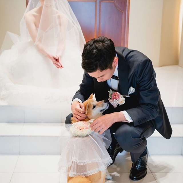 実は結婚式ができる、都内近郊の意外な場所６