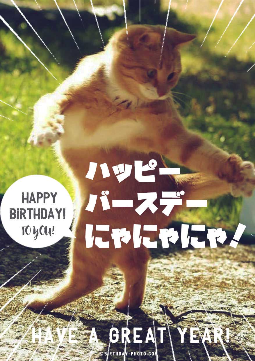 誕生日プレートメッセージ 面白いTikTok