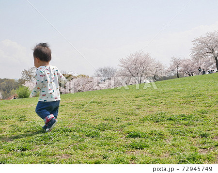 丘の上を走る子供達の後ろ姿の写真素材5169649- PIXTA