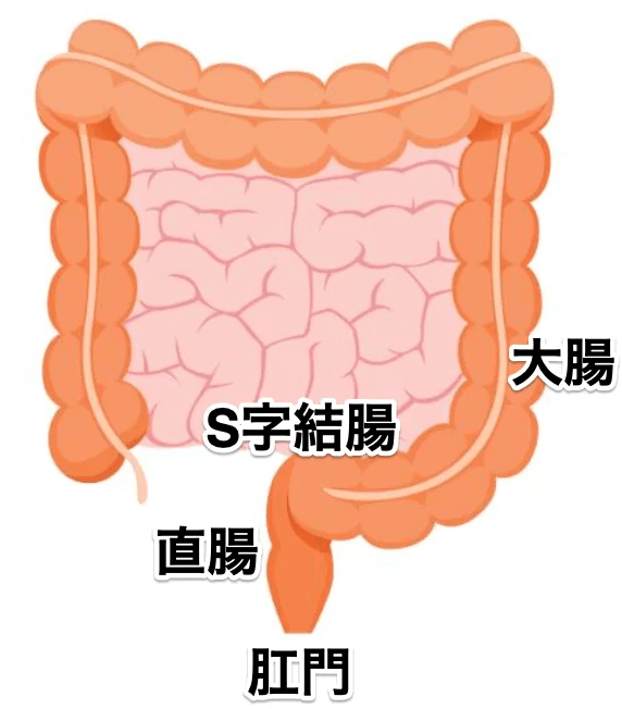 初心者必見！アナルオナニーのエロいやり方と上達のコツ | HIME