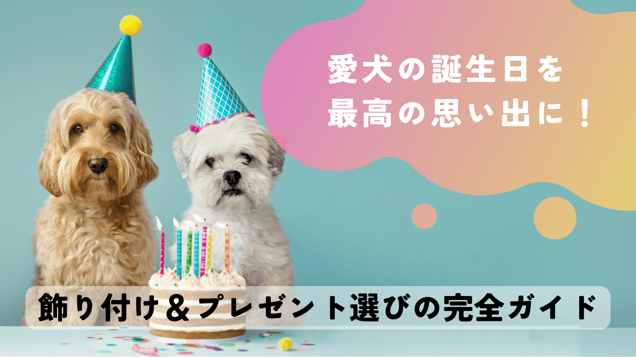 愛犬が喜ぶ！誕生日プレゼントにぴったりの犬用おもちゃ2５選 - 犬のおもちゃ専門通販 いぬはっぴ