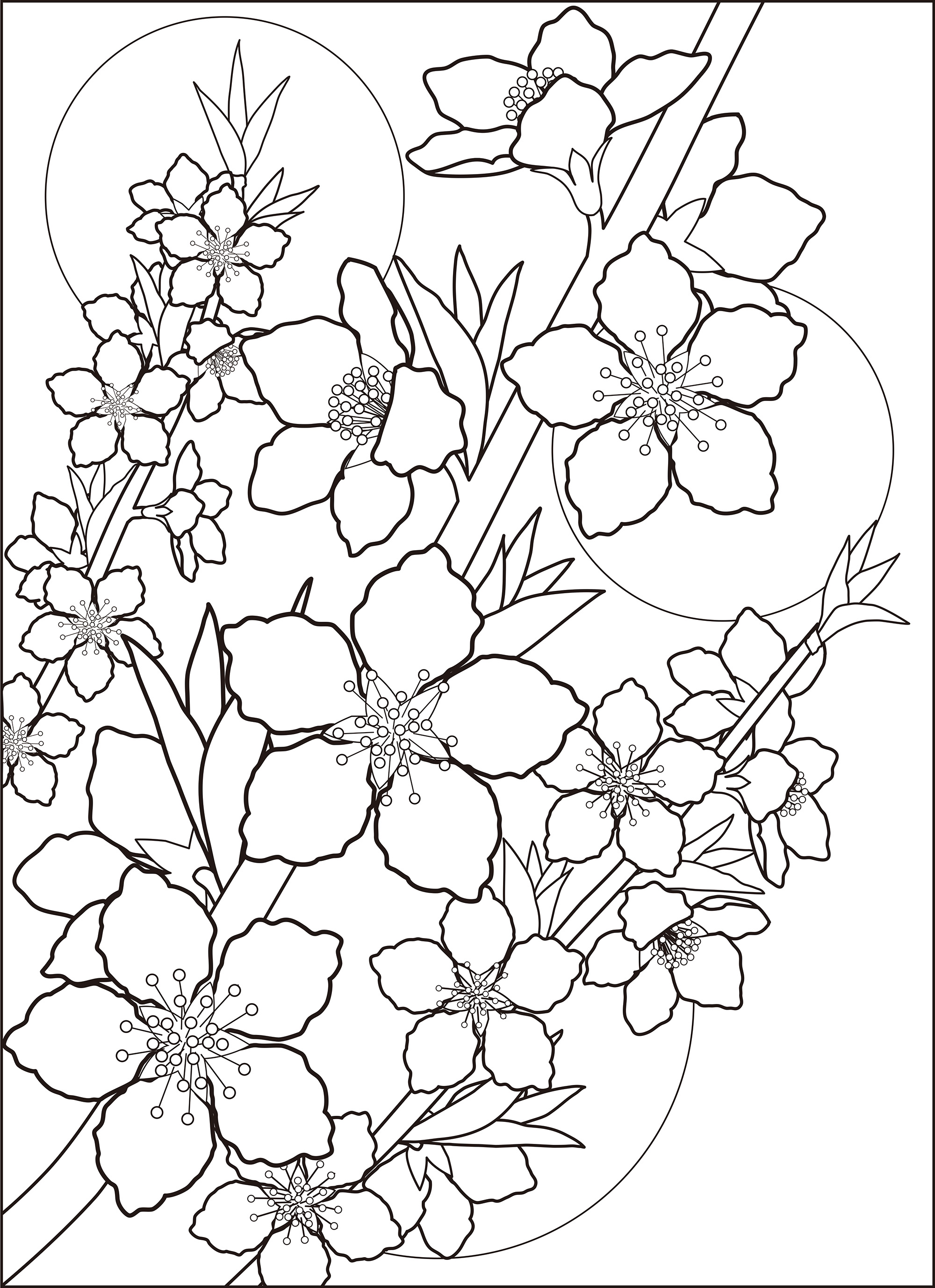 花柄の塗り絵無料イラスト素材素材ラボ