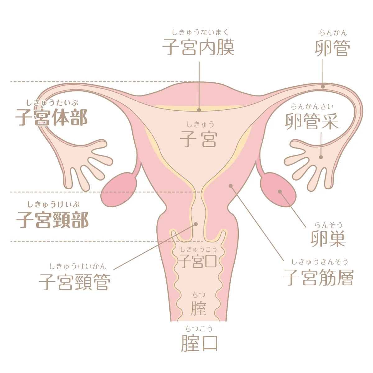 イグニオ IGNIO ユニセックス