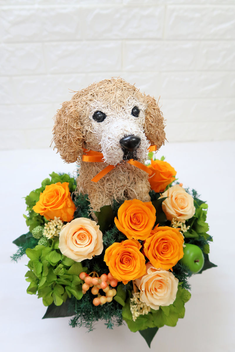 犬好きの人へ誕生日プレゼント動物トピアリー作品集アトリエ花倶楽部