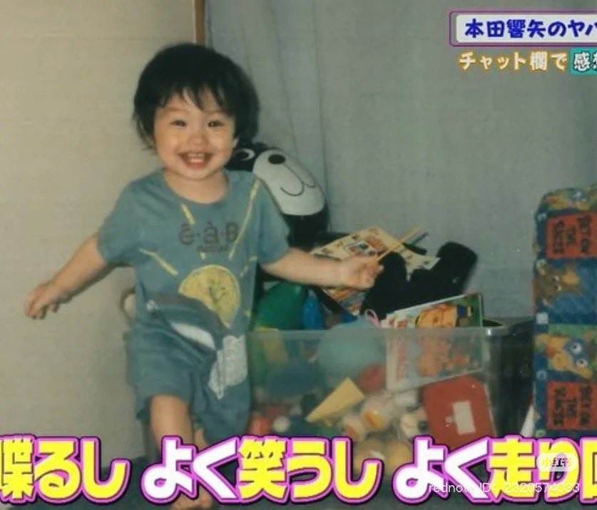 本田翼、幼少期の写真を公開 「天使」「お目目おっきい」など反響 - スポーツ報知