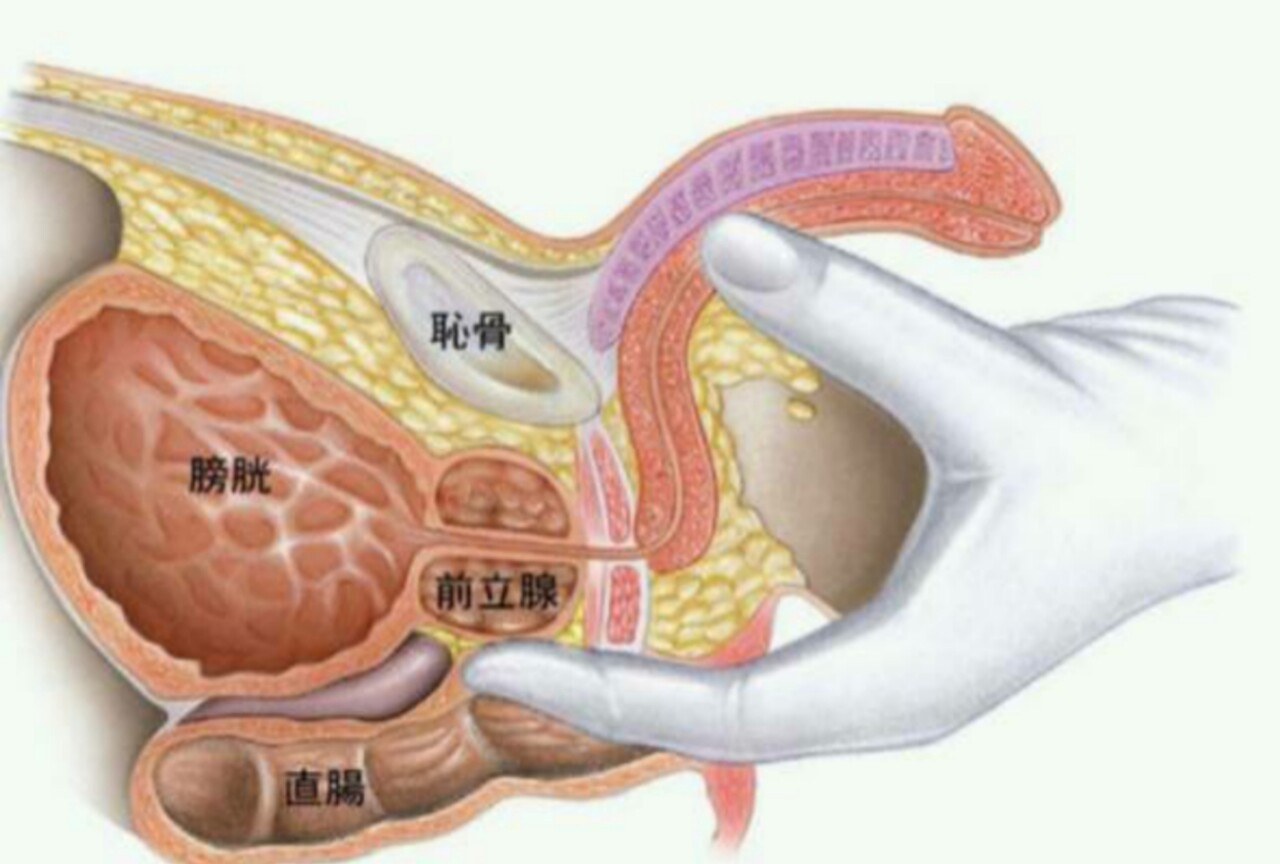 PRO STIM 前立腺マッサージ ドライオーガズム 120