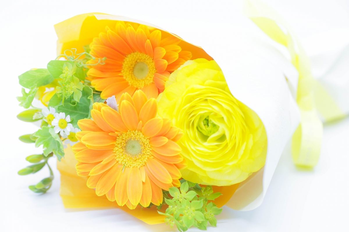 手術後にかける言葉 例文集家族・友人別に安心を届けるメッセージ - oyakudachi's diary