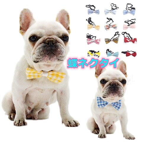 犬 蝶ネクタイ リボン 首輪 かわいい 猫 インスタ映え チョーカー パーティー 結婚式 正装 春 春用 おすすめ ペット用品 送料無料LINEブランドカタログ