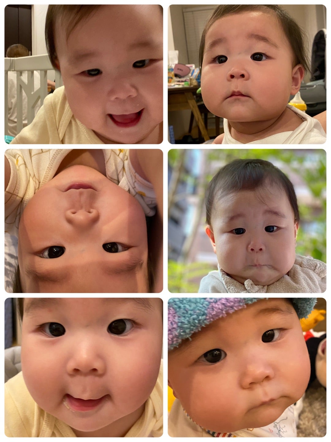 7ヵ月の赤ちゃんの発育と発達学ぶ赤ちゃんの発育と発達＜0ヵ月〜11ヵ月＞ほほえみクラブ 育児応援サイト