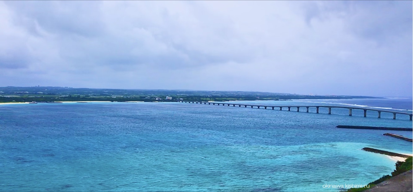 沖縄きしみ〜る | 湘南のみなさまお待たせしました❣️ 沖縄きしみ〜る、ご当地初出店です🎊