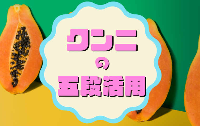 ブログ『何の変哲もないねこですが』のティルくんに聞きました！ | アイリスプラザ_メディア