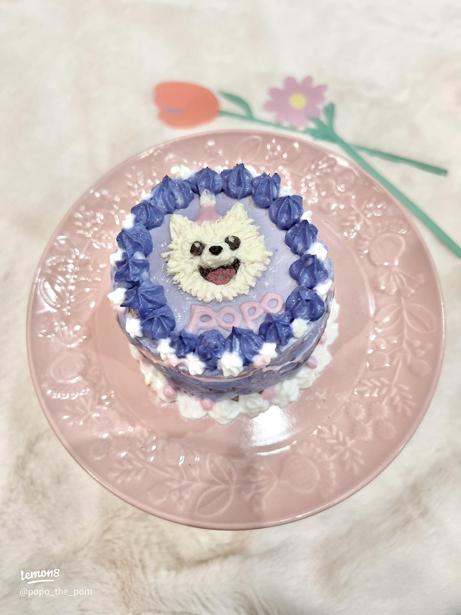 楽天市場 ハーフ バースデー ケーキ ペット・ペットグッズ の通販