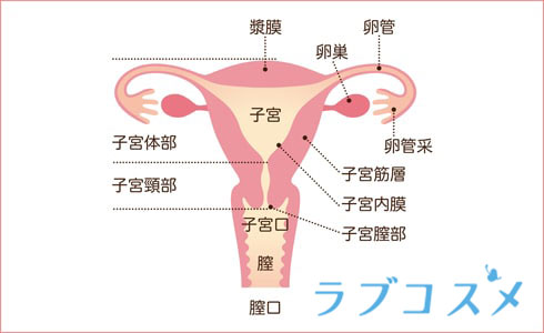 麻薬捜査官 ヤク漬け 膣痙攣