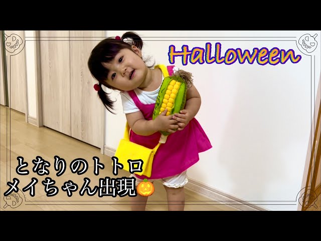 となりのトトロ ポーズがいっぱいコレクションDX メイちゃん コンプリートBOX9509 ストーリーコレクションすすのこ商店ジブリグッズオンライン通販ショップ