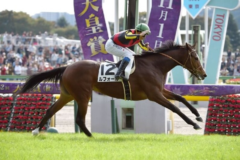 育成馬 2歳新馬戦 優勝 |