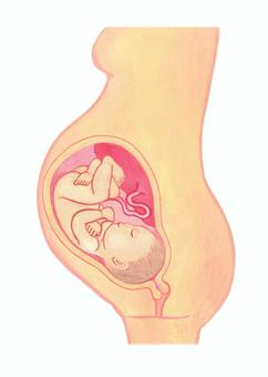 皇帝ペンギンの鳥は赤ちゃんと一緒に立っています。水彩イラスト。手描きのリアルな親ペンギンと赤ちゃん。南極の野生生物の鳥。美しいペンギンのカップル。白い背景に分離型の写真素材・画像素材Image 195672075