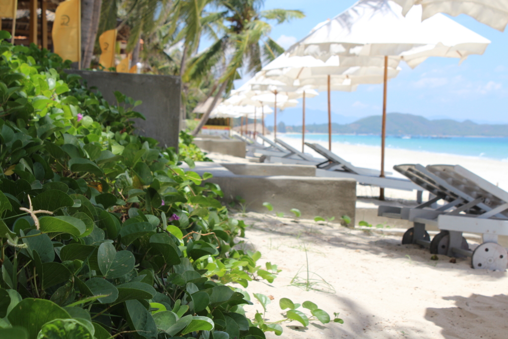 みんな大好き「にこみちゃん」の新メニューと、またやらかした馬鹿嫁小芝居劇場なのにゃ！飲んだくれの果て 高知編