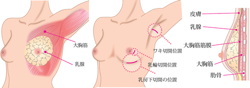 バックってこんなに簡単に挿入できたの⁉️】 後背位で挿入にもたつくの.. |