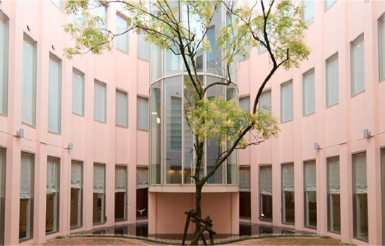 コロナきっかけに田舎に移住したYouTuber夫婦 引っ越して分かった意外なことの連続FNNプライムオンライン