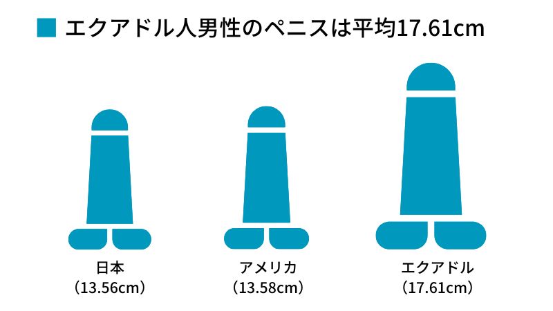 巨根サイズはどこから？】15cm以上、500円玉より太ければデカチンと言える｜あんしん通販コラム