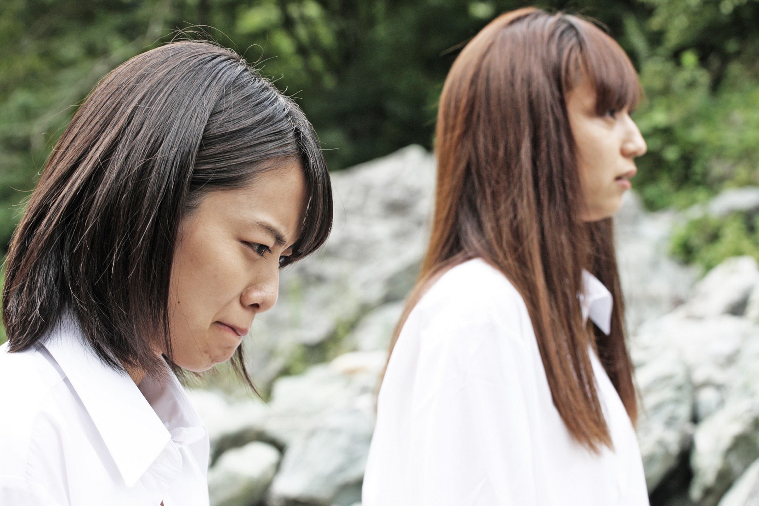 こたつと、みかんと、ニャー。 - 映画情報・レビュー・評価・あらすじFilmarks映画