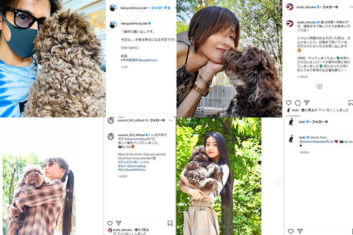 陽射しも、アムもぬっくぬくです」木村拓哉、愛犬を強く抱きしめる姿を披露「今日はあったかい！」 All AboutNEWS ｄメニューニュース NTTドコモ