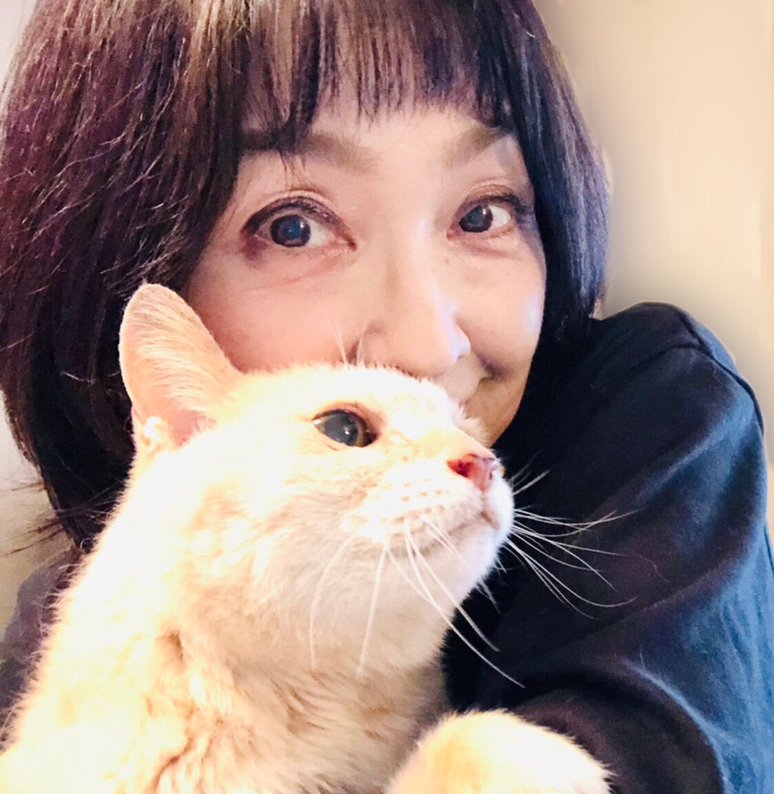 ありがとう!公開ライブラリー利用者100万人達成!NHK番組発掘プロジェクトNHKアーカイブス