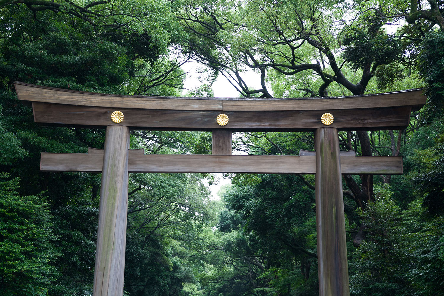 明治神宮・南神門 楼門明治神宮・御朱印