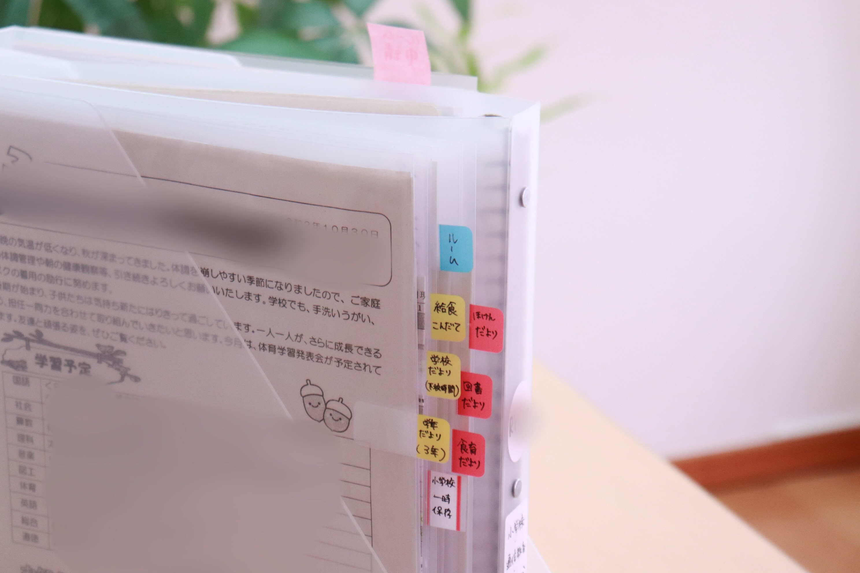 楽天市場 学校 プリント 収納の通販