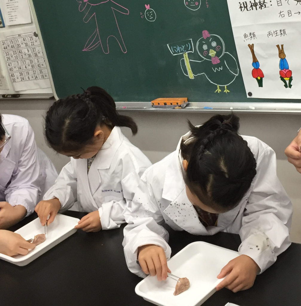 横浜雙葉中学高等学校 - 帰国生のミカタ