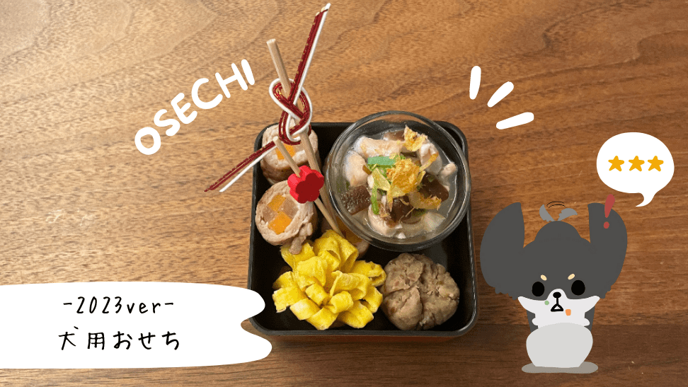 🍱🎍✨ 昨日はお正月御膳を食べまちた✌️のあご飯お正月犬ごはんのあちゃん🐶ゴールデンレトリバーゴールデンレトリバーのいる生活ゴールデンレトリバーのいる暮らしごーるでんれとりばー大型犬のいる生活犬のいる生活goldenretrievernoa🐶dog