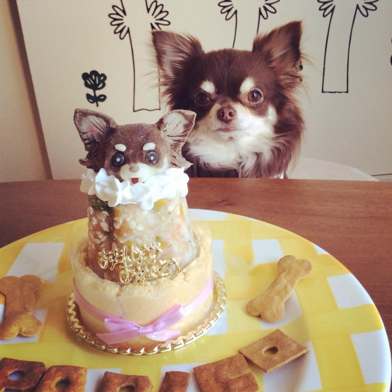 トイプードルのハーフケーキ＊キャラケーキ 高速動画あり: momo's obentou＊キャラ弁 Powered by ライブドアブログ