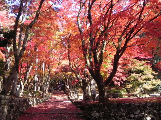 鶏足寺太陽公園内御朱印 - 姫路市 兵庫県Omairi おまいり