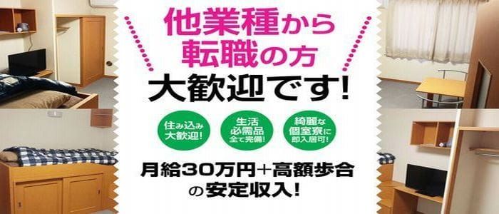 栃木の自宅へ出張可求人(高収入バイト)｜口コミ風俗情報局