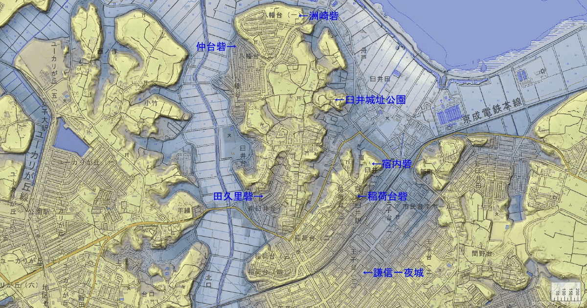 大鳥 精司( 千葉大学医学部附属病院)-病院長メッセージ｜ホスピタルズ・ファイル