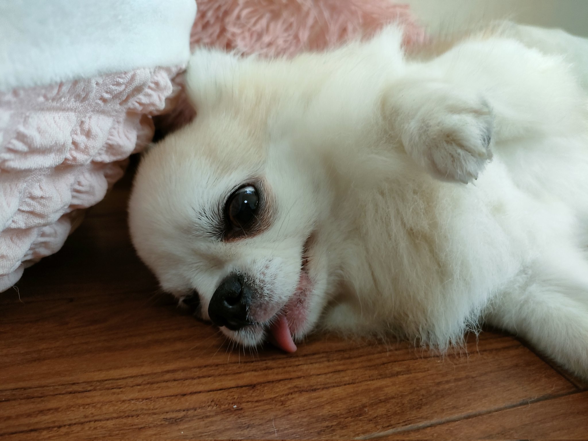 マッチングアプリで出会った男の秘密