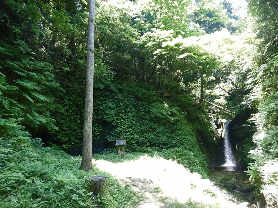 2020年 5月 桃川おたきさま・韋駄天山・稲荷山 /