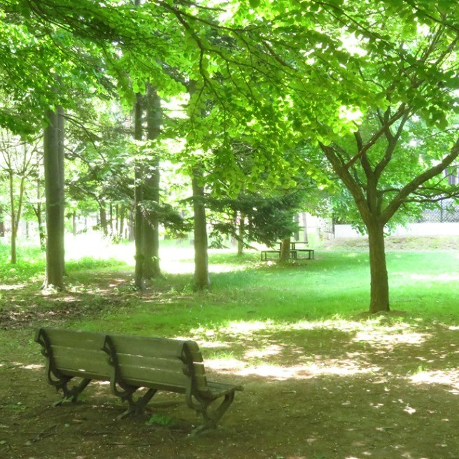 彼の密かなストレス気付いてる？ 嫁実家との付き合い方「ココがしんどい」ゼクシィ